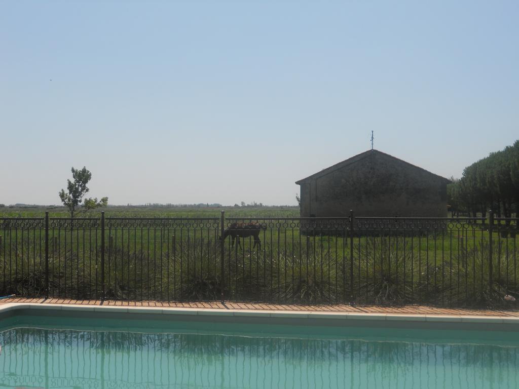 Mas Petit Prince Arles Dış mekan fotoğraf